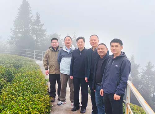 浙江省茶叶产业协会领导莅临轩黄指导